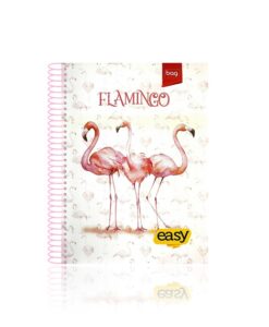 Caderno Universitário Espiral 12 Matérias Easy 168 folhas 200mm X 275mm Capa Dura Bag REF