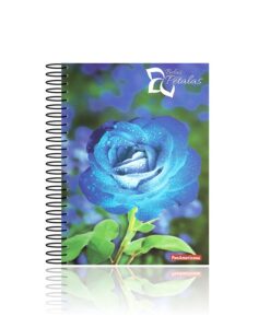Caderno Universitário Espiral 15 Matérias Rosas e Pétalas 300 folhas Capa Dura Panamericana REF  187609
