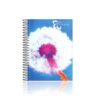 Caderno Universitário Espiral 15 Matérias Rosas e Pétalas 300 folhas Capa Dura Panamericana REF 399722