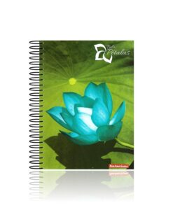 Caderno Universitário Espiral 15 Matérias Rosas e Pétalas 300 folhas Capa Dura Panamericana REF 399721