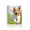 Caderno Universitário Espiral 15 Matérias Cães e Gatos 300 folhas Capa Dura Panamericana REF 399729