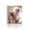 Caderno Universitário Espiral 15 Matérias Cães e Gatos 300 folhas Capa Dura Panamericana REF 399731
