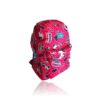 Mochila Juvenil Backpack Clio Stylo REF 302827 Código de Barras 7899753534428