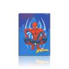 Caderno Universitário Brochurão Costurado Spider Man 80 Folhas 200mm X 275mm Star School REF 325206